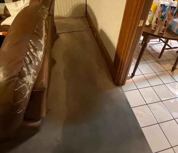 living room with visible water damage on the carpet