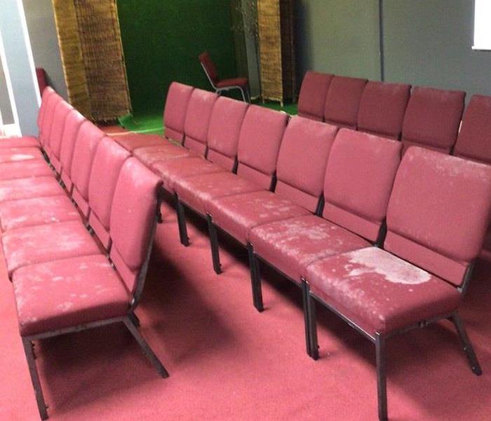 Red chairs with Microbial Growth on them