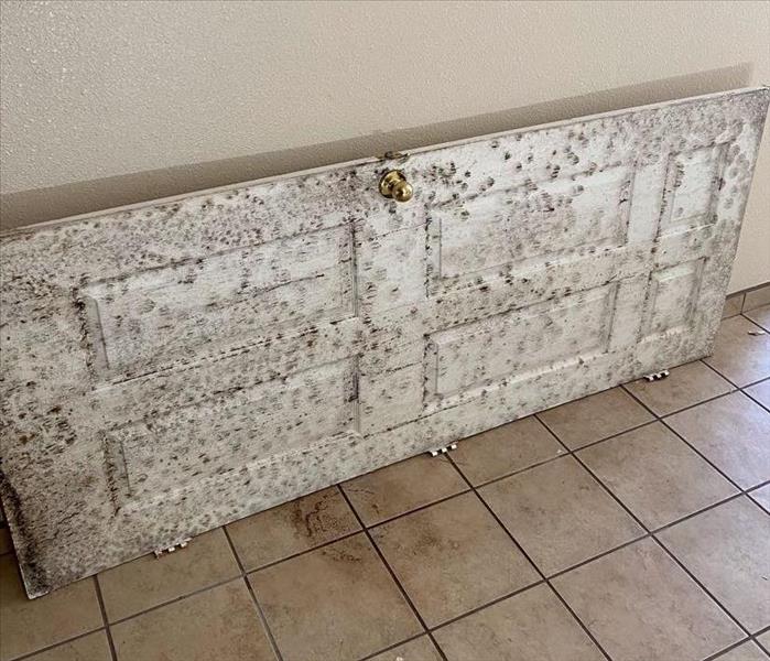 Door covered in mold