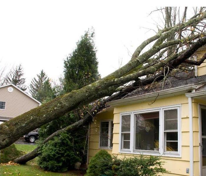Tree fallen on yellow house during storm